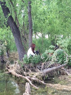 河边树下休憩的人