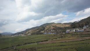 乡村田野风光美景