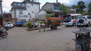 乡村院落停放车辆与花草