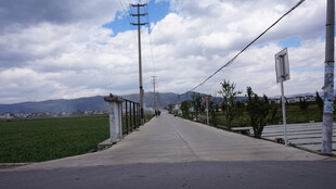 乡村小路旁的蓝天与田野