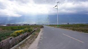 乡村公路边的田园风光