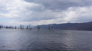 宁静湖景与远处山峦