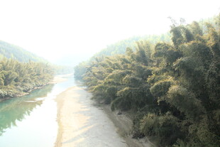 河畔绿树成荫的宁静小路