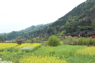 山间田野中的古朴村落