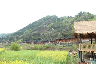 田园山村风光 茅草屋美景