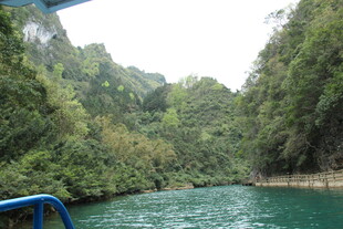 乘船赏两岸葱郁山水风光