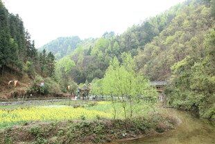 山间田园风光美景