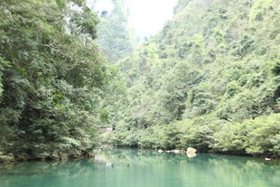 青山绿水间的清幽河谷