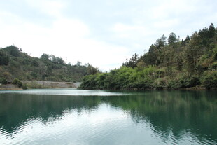 宁静湖水映葱郁山林