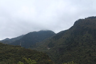 云雾缭绕的青山美景