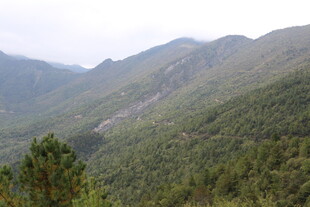 山峦叠翠的绿色山林景观