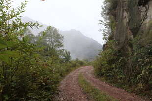 山间雾中蜿蜒的泥土小路