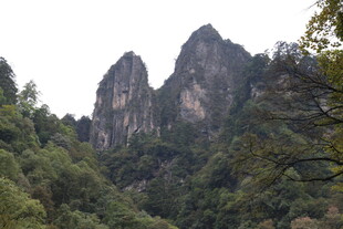 秀丽山峦间的葱郁山林
