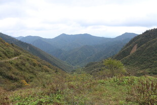 山间绿野 远观连绵山峦
