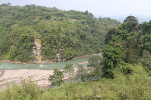 山间河流旁的葱郁景致