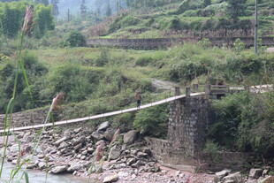 山间吊桥横跨潺潺溪流