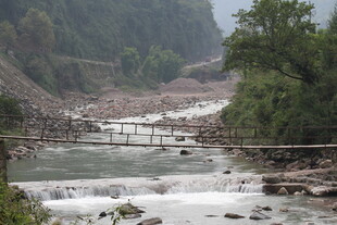 山间湍急溪流与繁茂植被