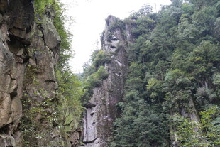 峡谷间的绿意盎然景观