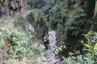 山间幽径 绿意盎然的峡谷