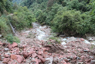 山间泥石流后的杂乱场景