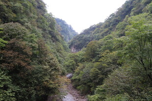 山间幽径 绿意盎然的峡谷