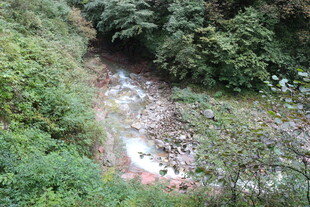 山间溪流穿林而过