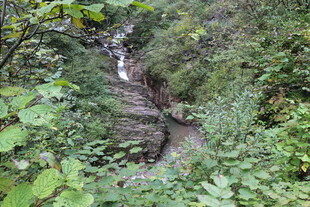 山间溪流穿林而过