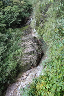 山间蜿蜒溪流穿行绿意中