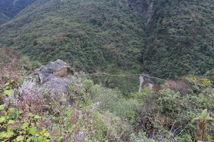 山间植被与岩石景观