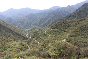 山间蜿蜒公路 绿意盎然