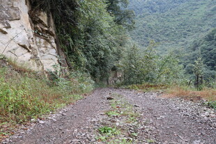 山间碎石小径 绿意盎然