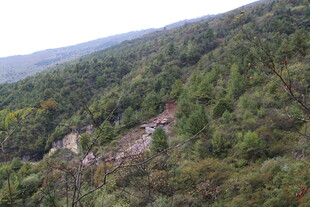 山间蜿蜒公路 绿意盎然