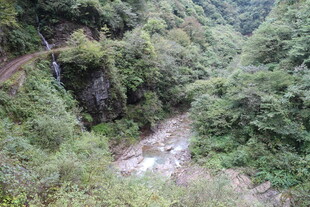 山间蜿蜒小路与葱郁植被