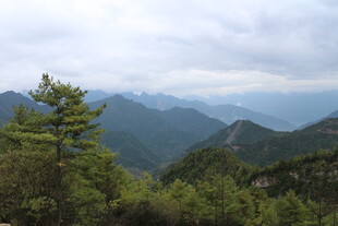 山间绿意 云雾缭绕美景