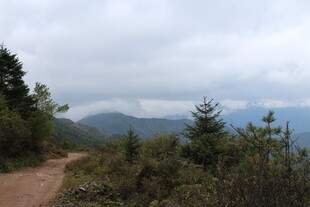 山间小径 云雾缭绕的美景