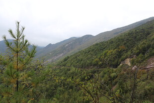 山间绿意盎然的自然景致