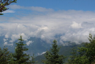 山间云海与葱郁林木景观