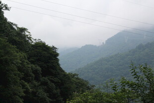 山间云雾缭绕的绿意景致