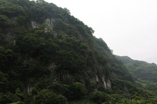 青山葱郁的自然景致