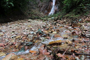林间溪流旁的多彩落叶