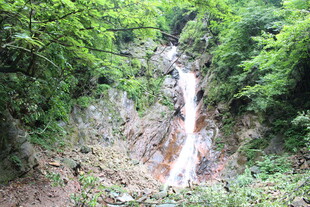 山间瀑布 绿意环绕之景