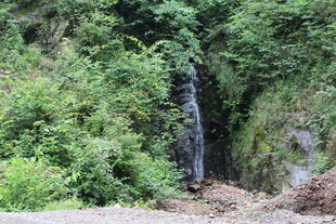 山间绿植环绕的隐秘通道