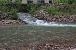 山间溪流潺潺流淌