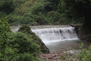 山间小瀑布 绿意环绕