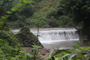 山间小瀑布 绿意环绕