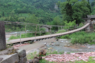 山间吊桥 自然美景如画