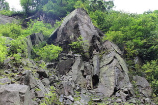 嶙峋山石与葱郁植被景观