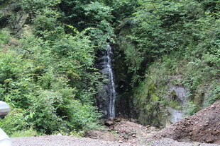 山间小瀑布 绿意环绕