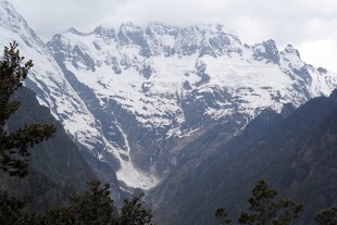 壮丽雪山与葱郁林木景观