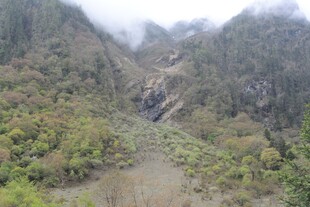 山间峡谷绿意盎然景观